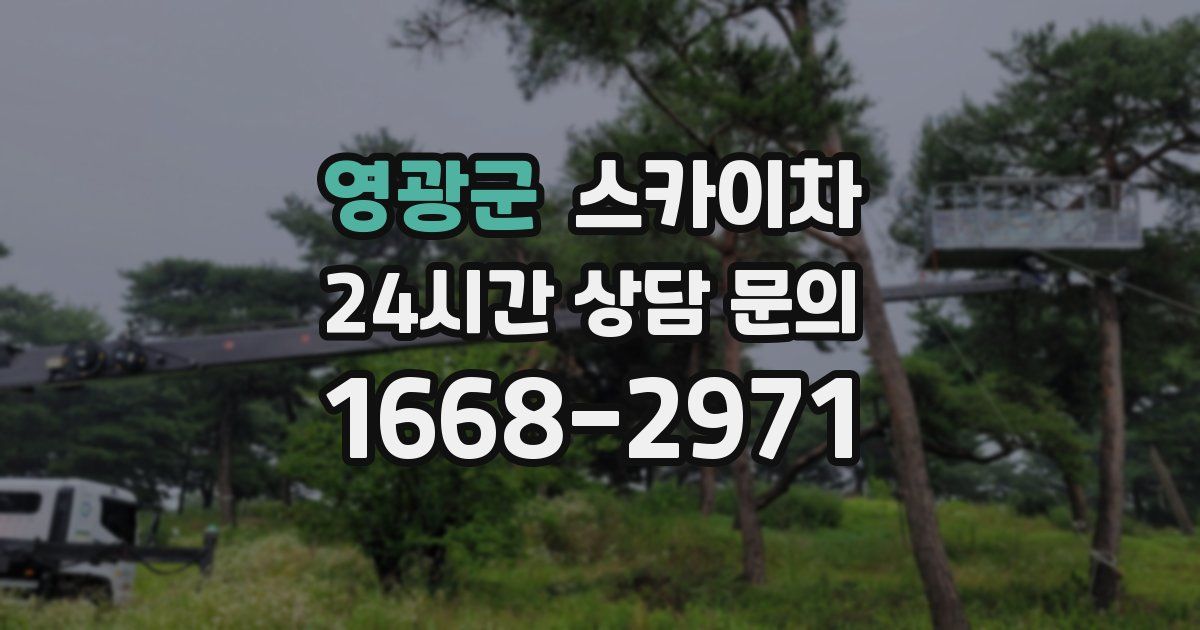 영광군 스카이차