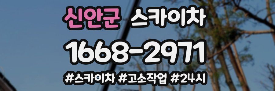 신안군 스카이차