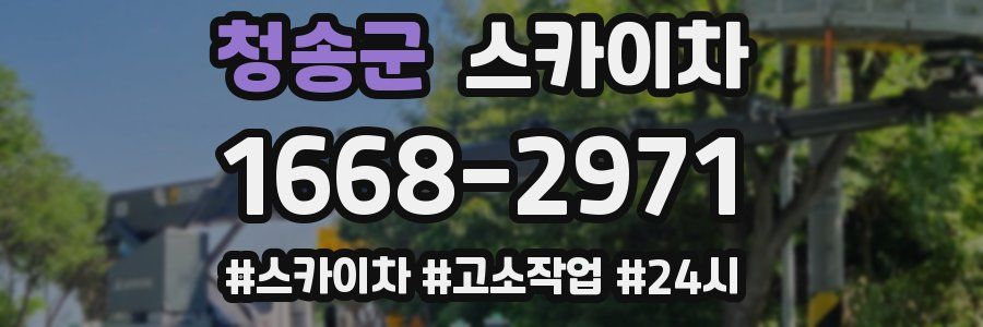 청송군 스카이차