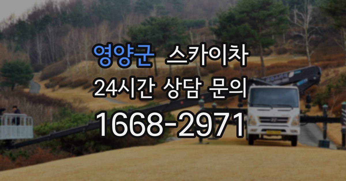 영양군 스카이차