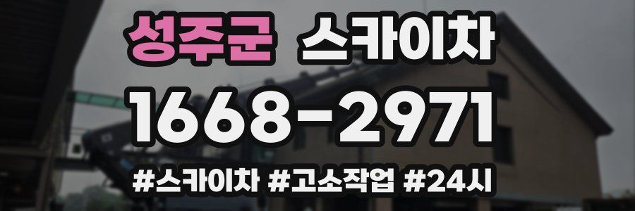 성주군 스카이차