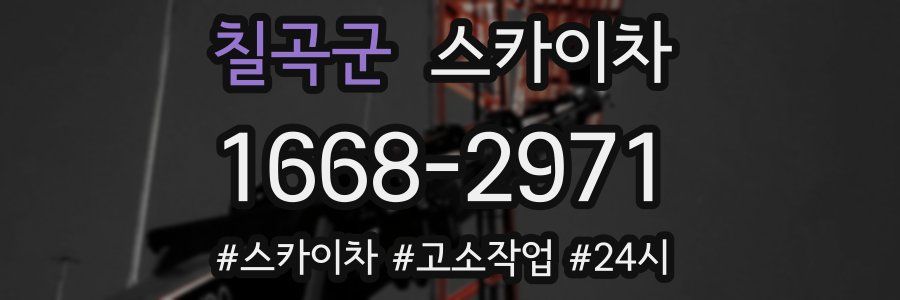 칠곡군 스카이차