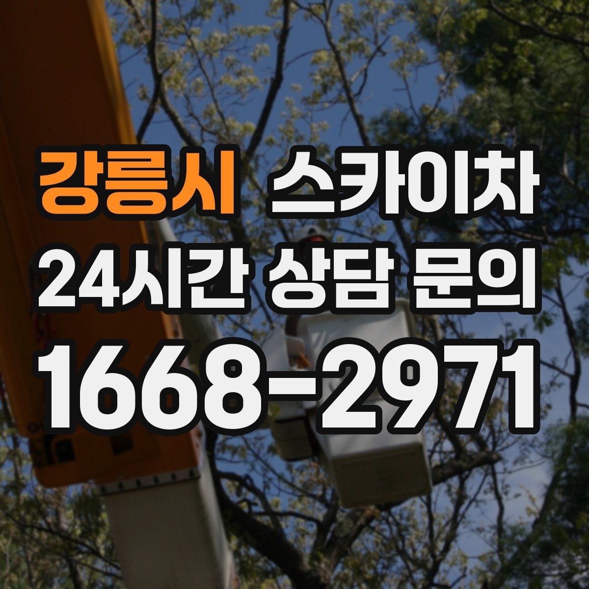 강릉시 스카이차 안전 콘과 안내 표지 설치가 중요한 이유