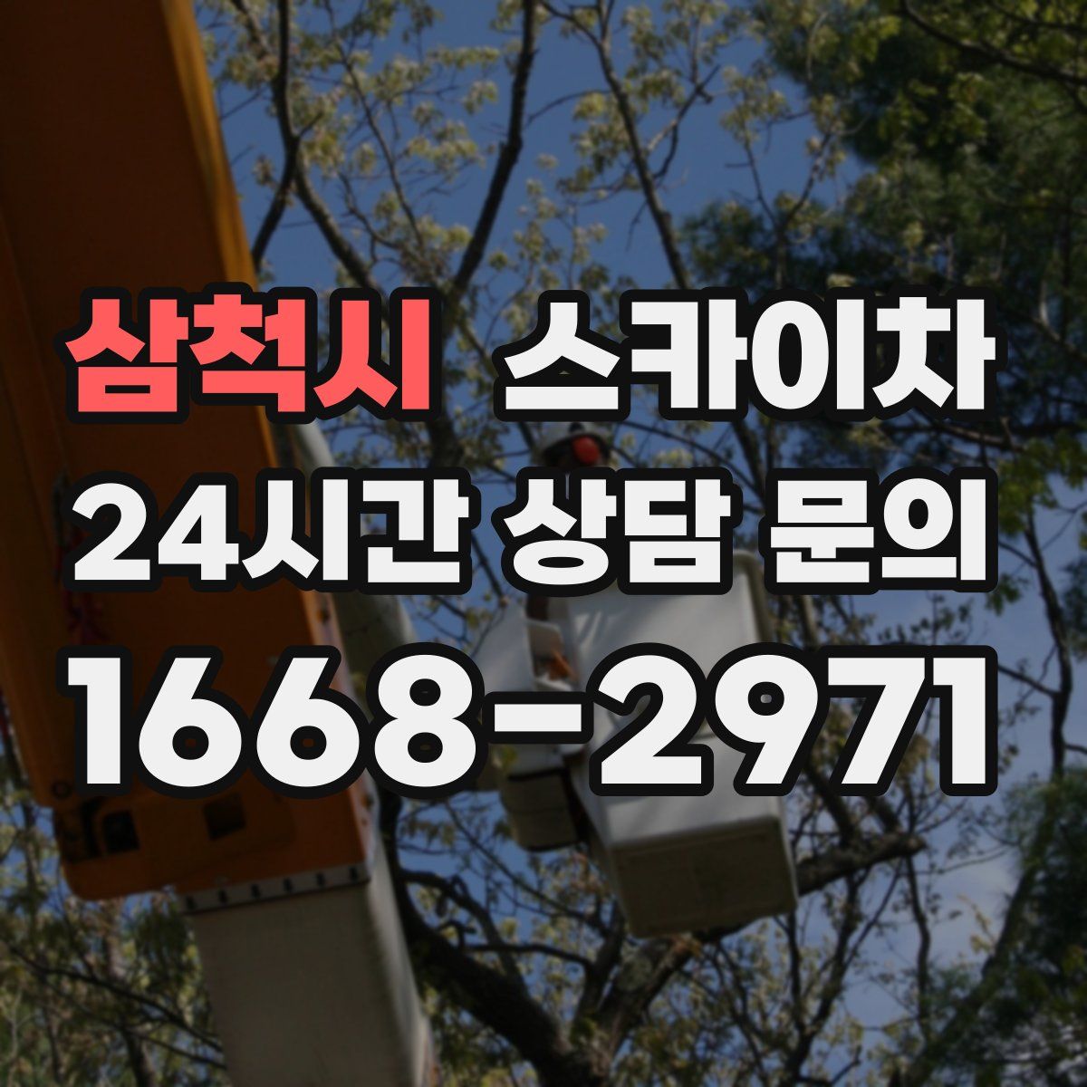 삼척시 스카이차