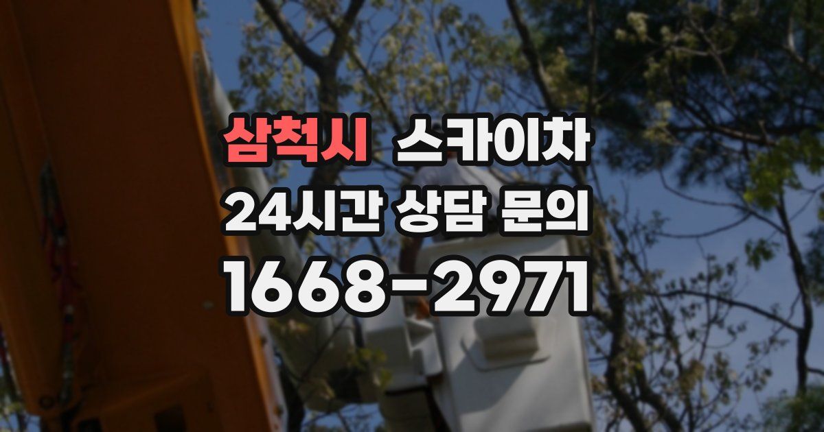 삼척시 스카이차