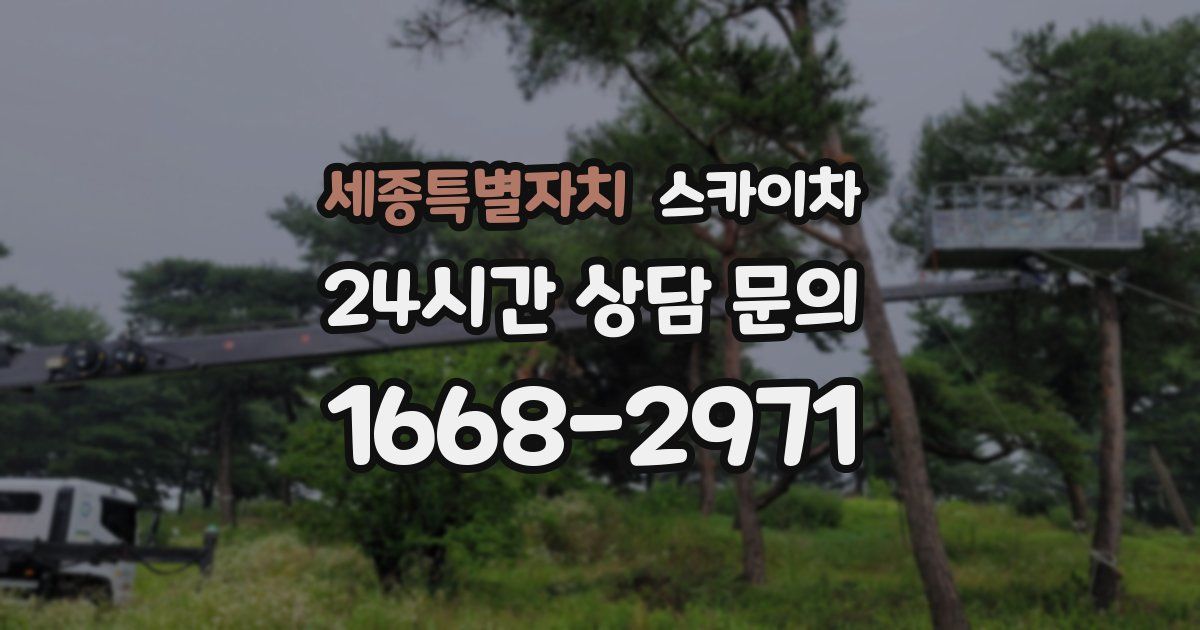 세종특별자치 스카이차