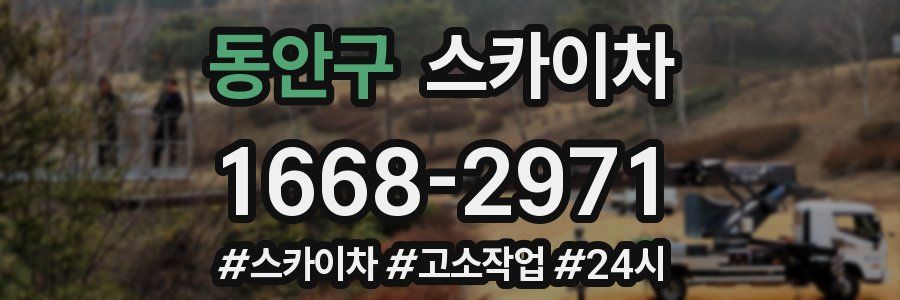동안구 스카이차