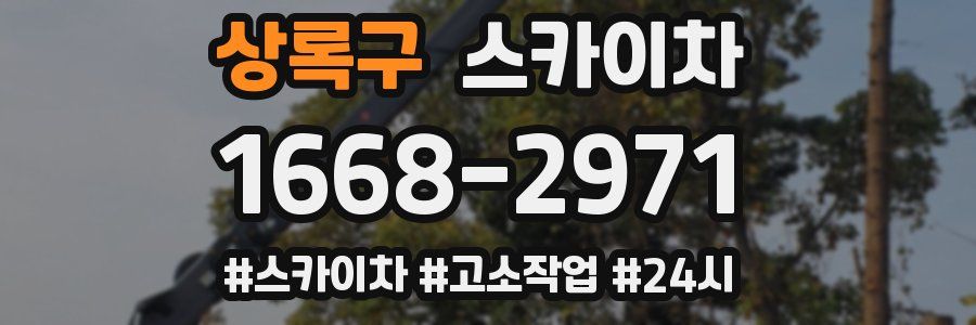 상록구 스카이차