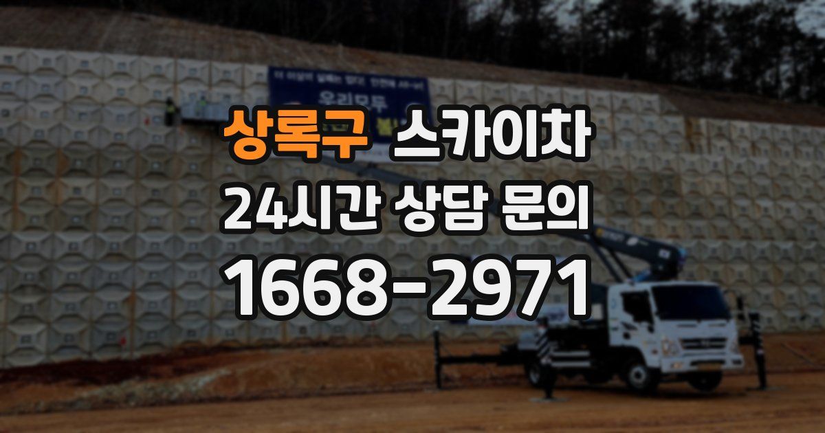 상록구 스카이차