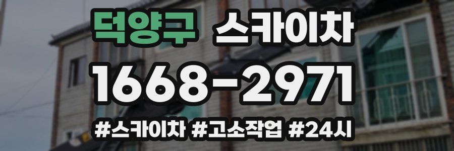 덕양구 스카이차