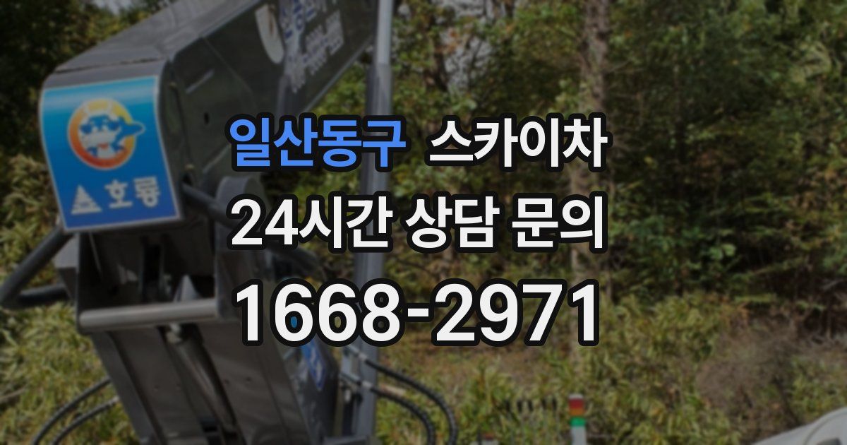 일산동구 스카이차