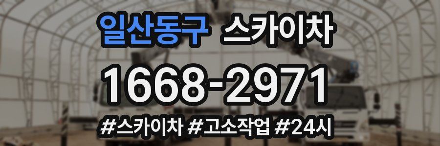 일산동구 스카이차