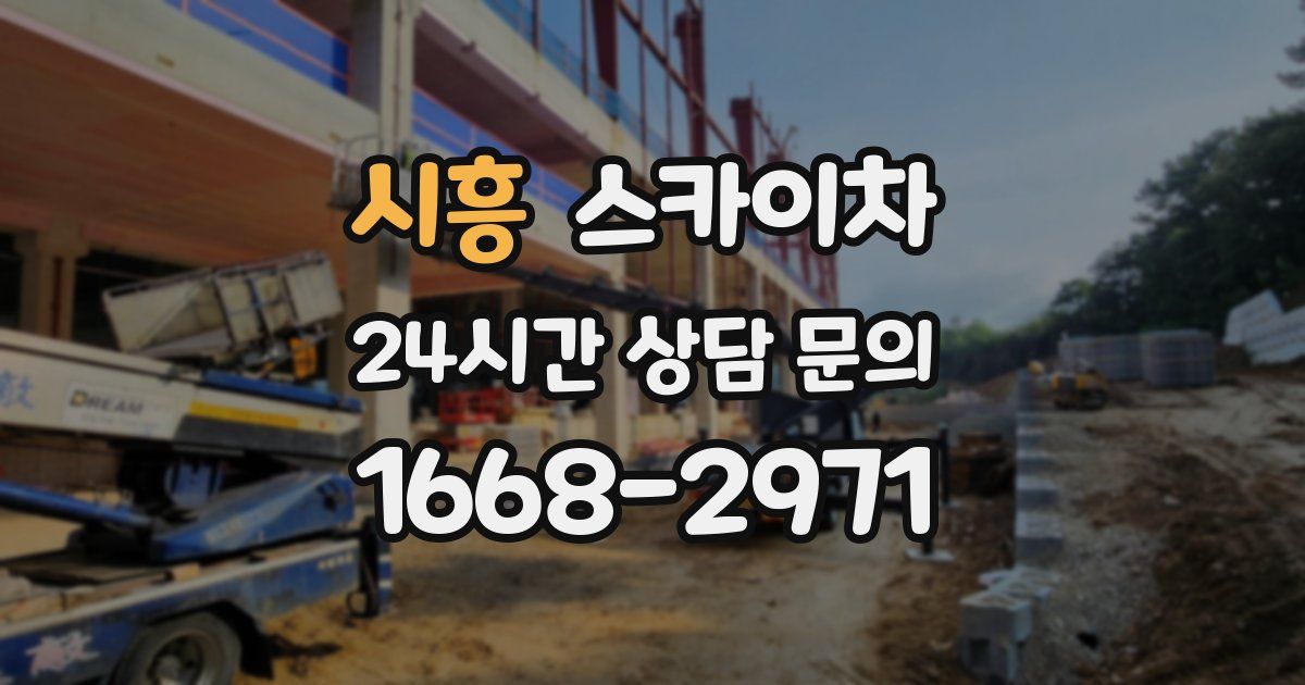 시흥 스카이차