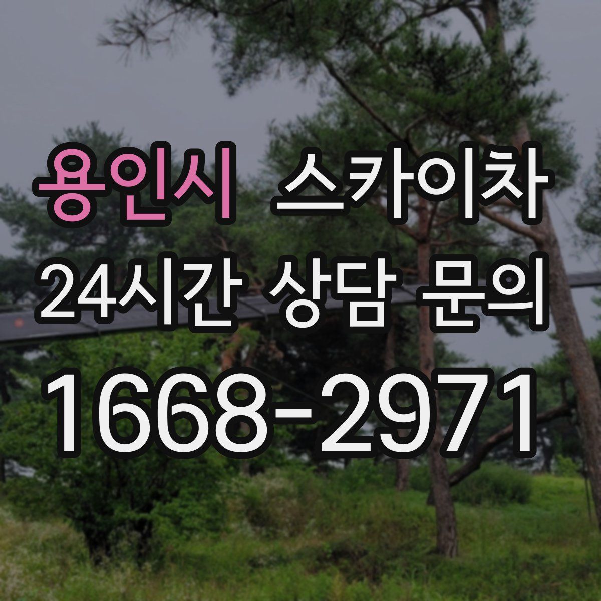 용인시 스카이차