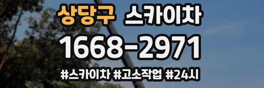 상당구 스카이차