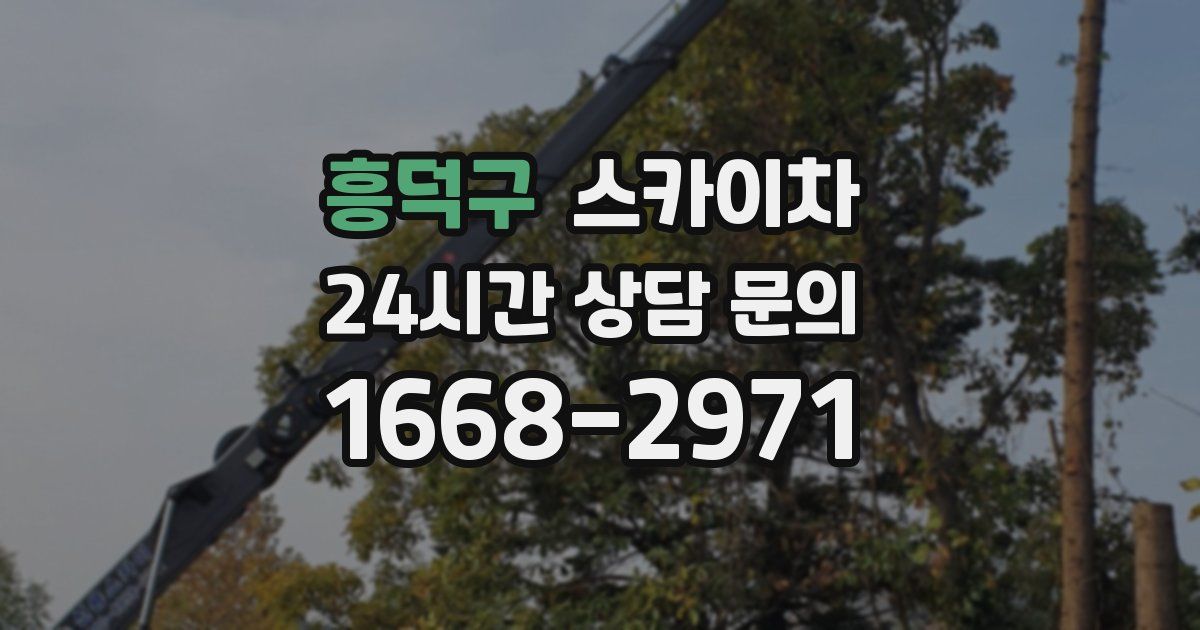 흥덕구 스카이차