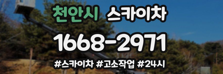 천안시 스카이차