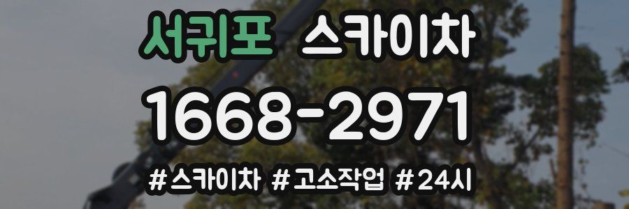 서귀포 스카이차