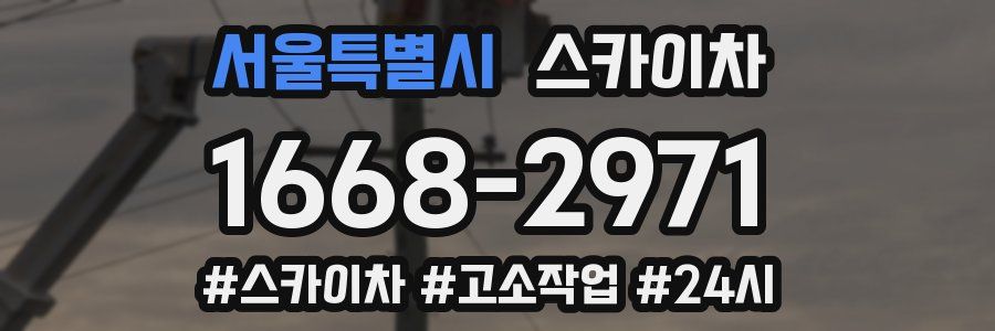 서울특별시 스카이차
