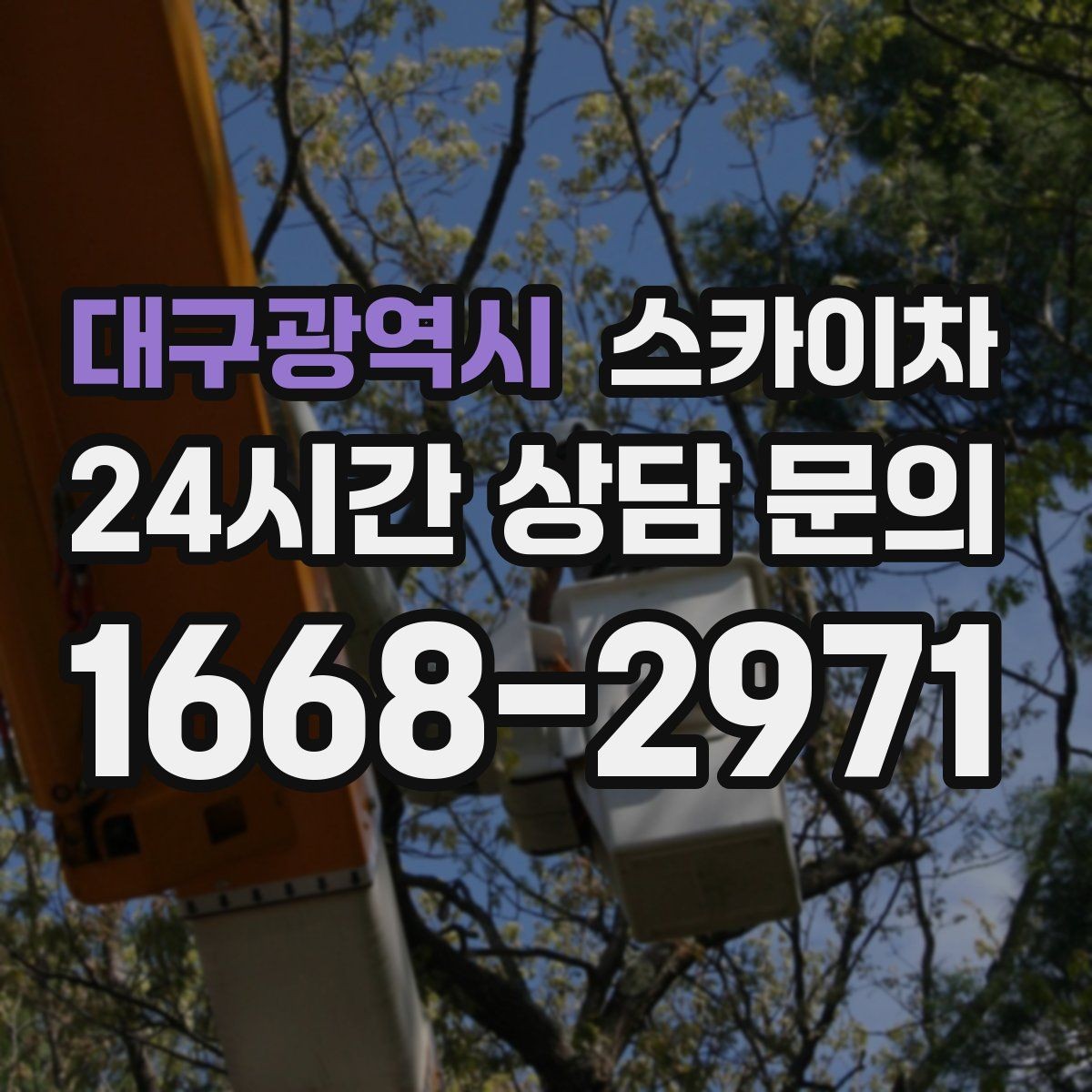 대구광역시 스카이차 외벽 물때 제거 작업이 필요한 이유