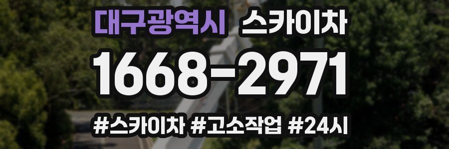 대구광역시 스카이차