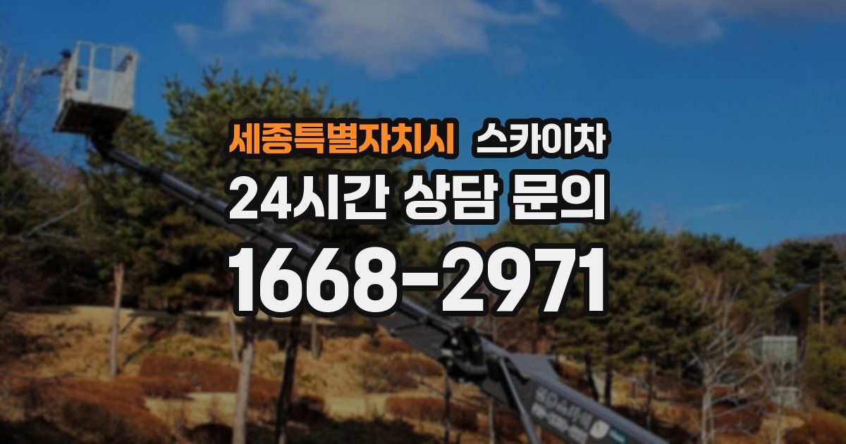 세종특별자치시 스카이차