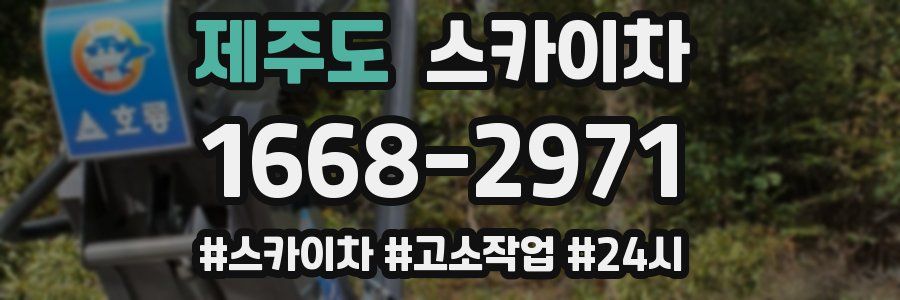 제주도 스카이차