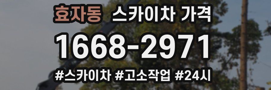 효자동 스카이차 가격