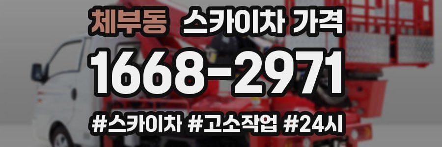 체부동 스카이차 가격