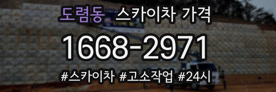 도렴동 스카이차 가격