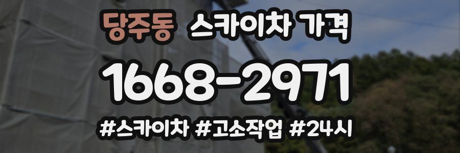 당주동 스카이차 가격