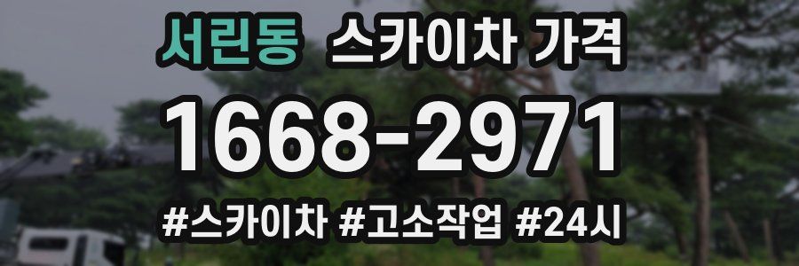 서린동 스카이차 가격