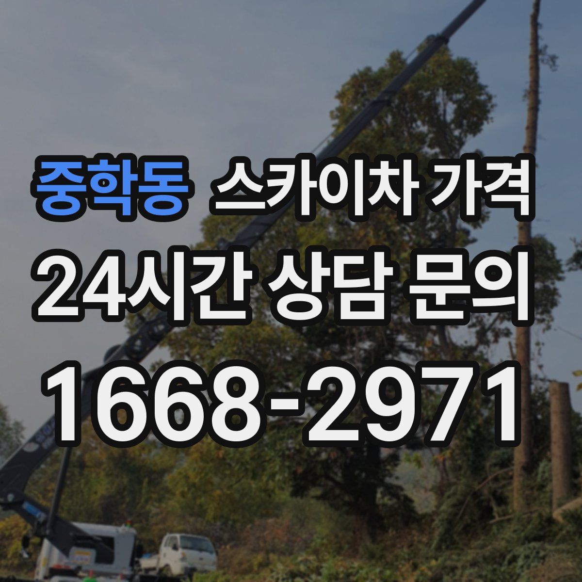 중학동 스카이차 가격