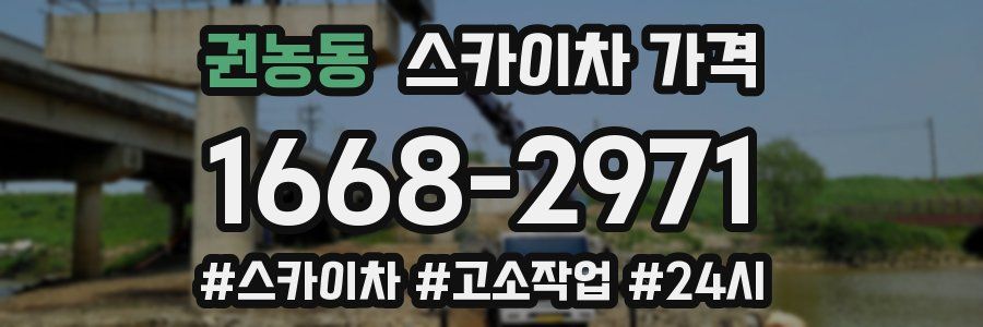 권농동 스카이차 가격