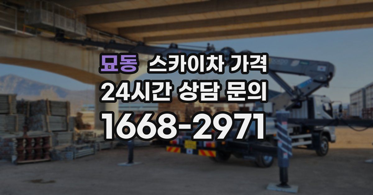 묘동 스카이차 가격