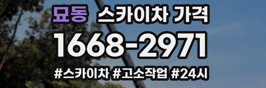 묘동 스카이차 가격