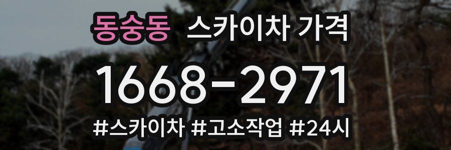 동숭동 스카이차 가격