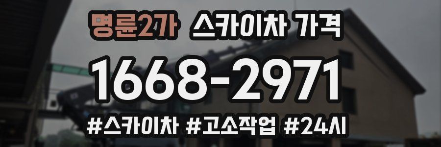 명륜2가 스카이차 가격