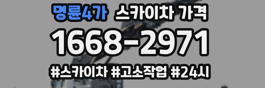 명륜4가 스카이차 가격