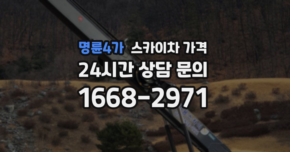 명륜4가 스카이차 가격