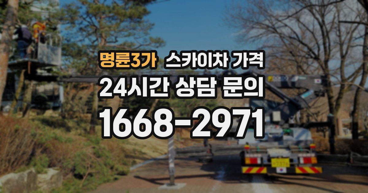 명륜3가 스카이차 가격