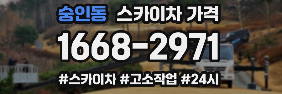 숭인동 스카이차 가격