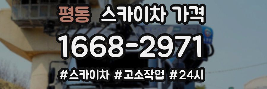 평동 스카이차 가격