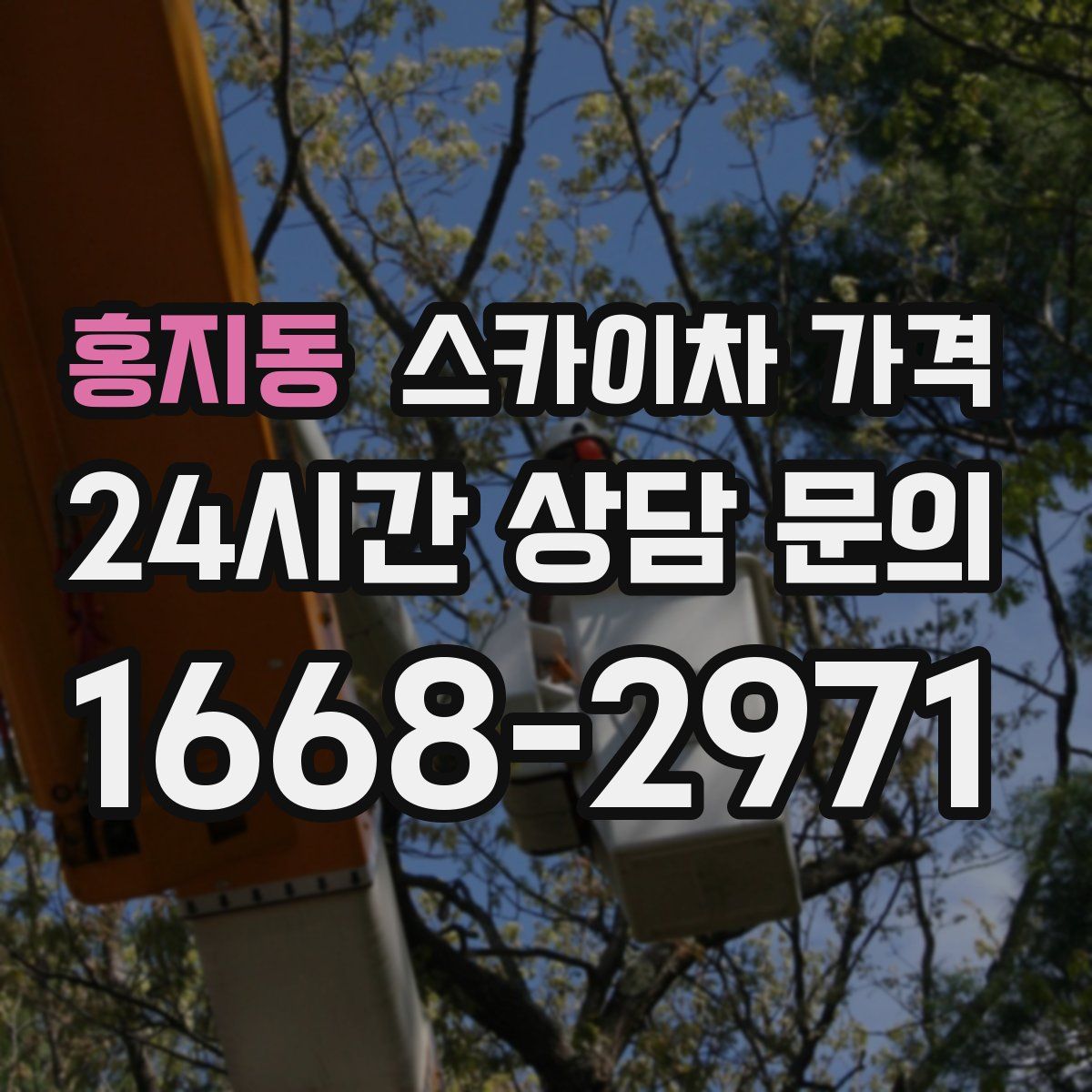 홍지동 스카이차 가격