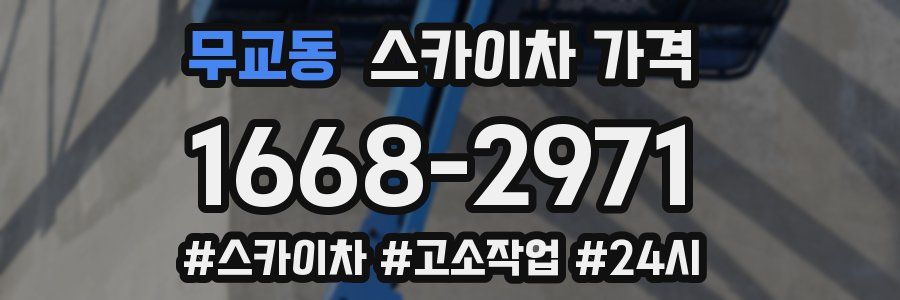 무교동 스카이차 가격