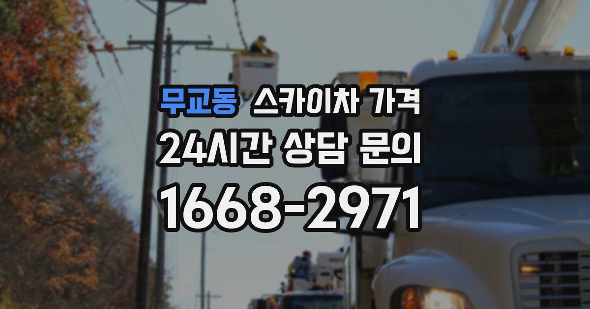 무교동 스카이차 가격