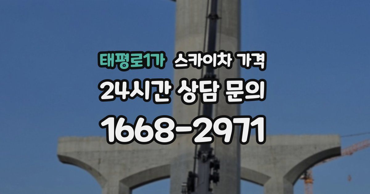 태평로1가 스카이차 가격