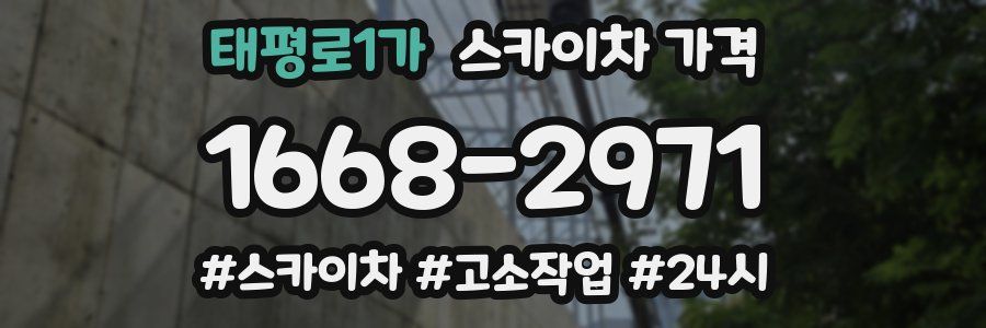 태평로1가 스카이차 가격