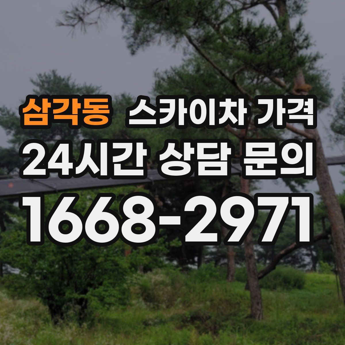 삼각동 스카이차 가격