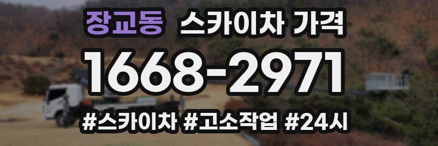 장교동 스카이차 가격